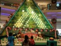 Largest Galton Christmas Tree