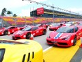 ferrari14