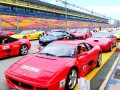 ferrari16