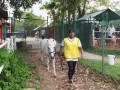 horses2