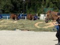 230226-horsefeed-cake-02