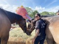 230226-horsefeed-cake-03