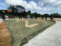 230226-horsefeed-cake-11