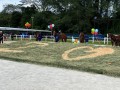 230226-horsefeed-cake-12