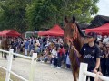 230226-horsefeed-cake-14