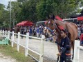 230226-horsefeed-cake-15