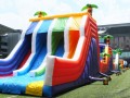 inflatable-oth11