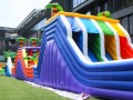 inflatable-oth12