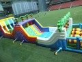 inflatable-oth3