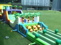inflatable-oth6