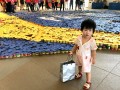 largest logo made of canned food (9)