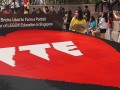 Largest Logo Made Of Lego Bricks