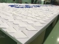 largest logo made of origami hearts@dormakaba (1)