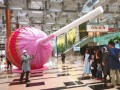 220311-largest-lollipop-09