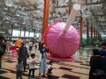 220311-largest-lollipop-10