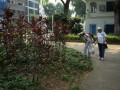 masscleaning8