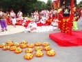 Largest Mass Lion Dance Cai Qing Performance