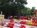 Largest Mass Lion Dance Cai Qing Performance