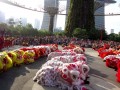 Largest Mass Lion Dance Cai Qing Performance