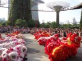 Largest Mass Lion Dance Cai Qing Performance