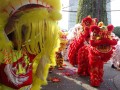 Largest Mass Lion Dance Cai Qing Performance