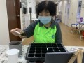 201113-planting-online-A03
