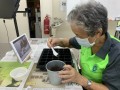 201113-planting-online-A05