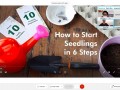 201113-planting-online25