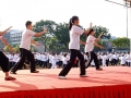 Largest Mass Taiji Display