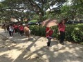 Largest Mass Walk With Umbrellas (20)
