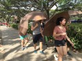 Largest Mass Walk With Umbrellas (22)