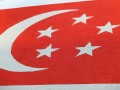 flag-erasers4