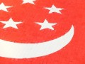 flag-erasers6
