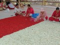 230813-flagmadeofflowers07