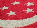 230813-flagmadeofflowers23