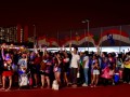 190928-dogslightedcollars-07