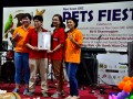190928-dogslightedcollars-13