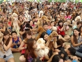 Largest Poodle Gathering