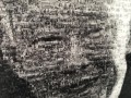 largest potrait mosaic (15)