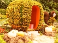 Largest Pumpkin Carving