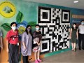 qr33
