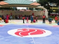 Largest Rangoli (Group)