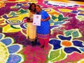 rangoli-salt14a