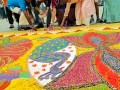 231124-rangoli-pistachio-17