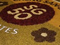 Largest Rangoli Made Of Spices