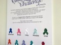 largest ribbon collage (3)