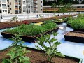 230506-rooftopdisplay-04