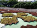 230506-rooftopdisplay-05