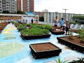 230506-rooftopdisplay-06