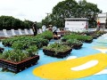 230506-rooftopdisplay-07